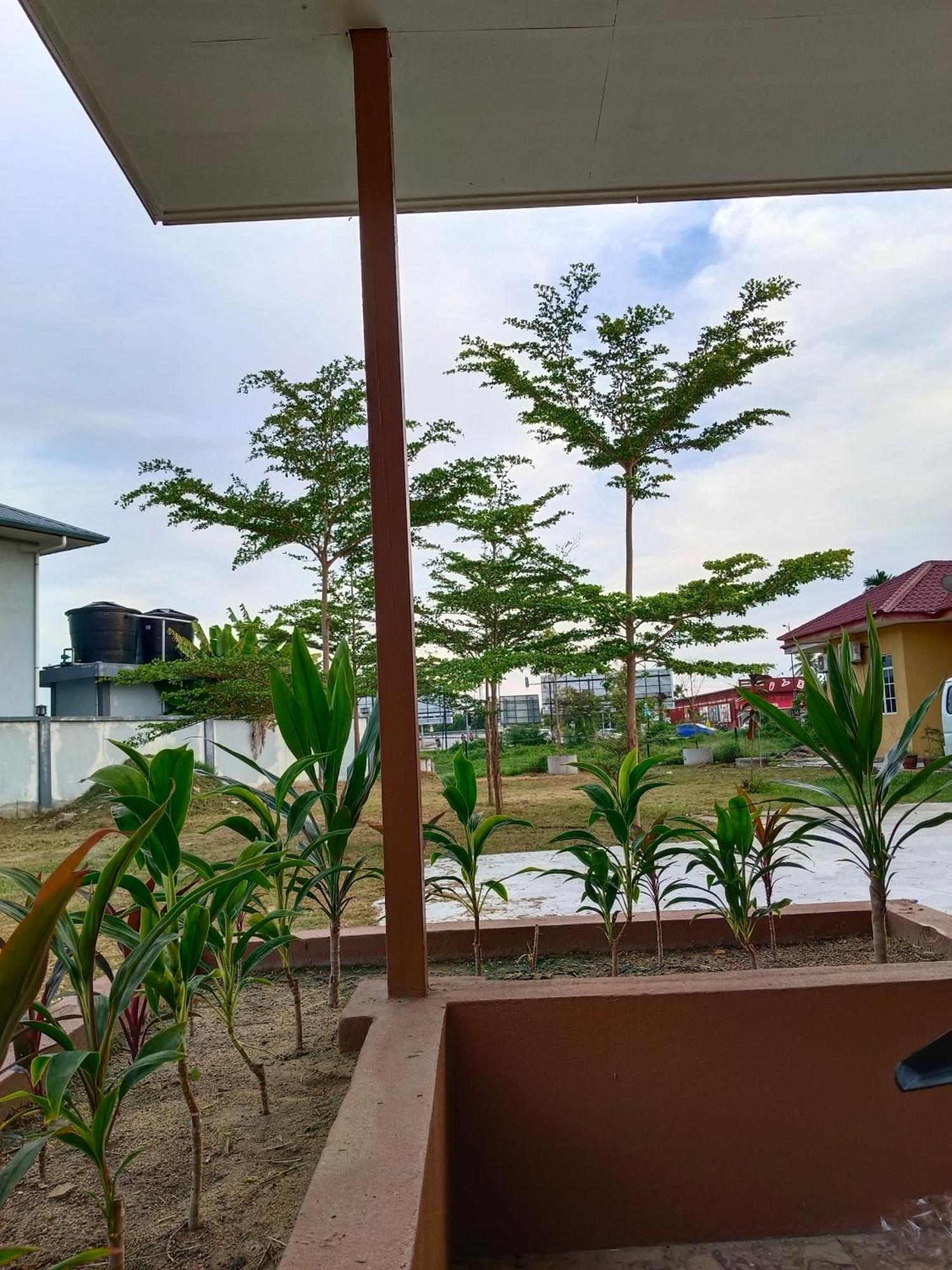 Alfa Roomstay Pantai Cenang  Buitenkant foto